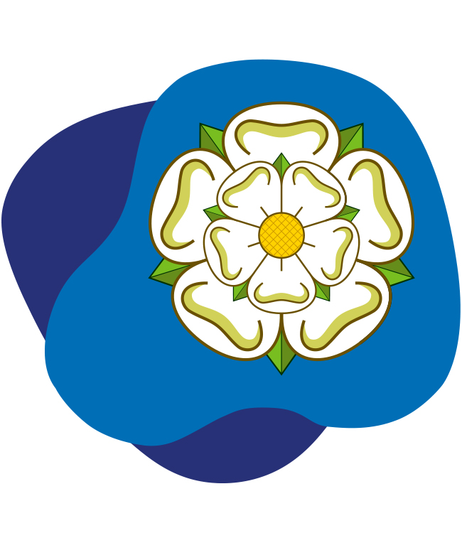 rosa bianca Yorkshire